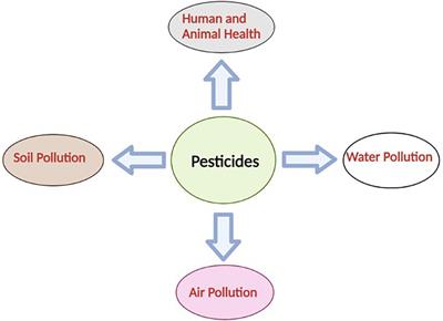 Insights into the recent advances in nano-bioremediation of pesticides from the contaminated soil